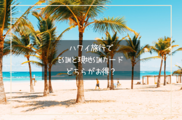 ハワイ旅行でeSIMと現地SIMカード、どちらがお得？メリットとデメリットを徹底比較!!