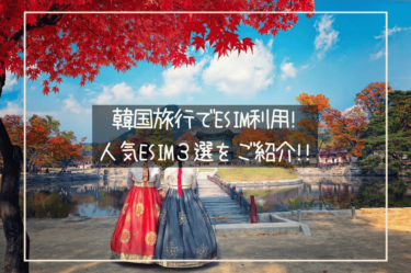 韓国旅行でとても便利なeSIMアプリ！これがあればネットは完璧、おすすめの人気eSIM３選をご紹介！！