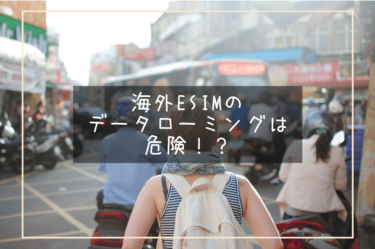 【海外旅行】eSIMのデータローミングは危険！？知っていれば怖くないデータローミングの知識！！